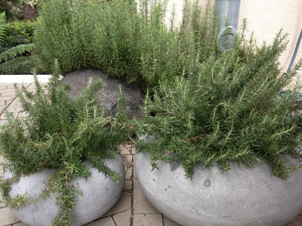 Apartment Webergarten