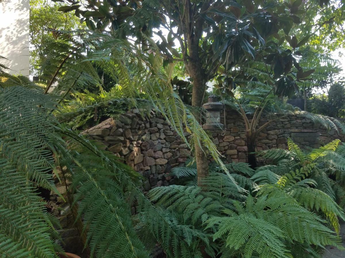 Webergarten Апартаменты *