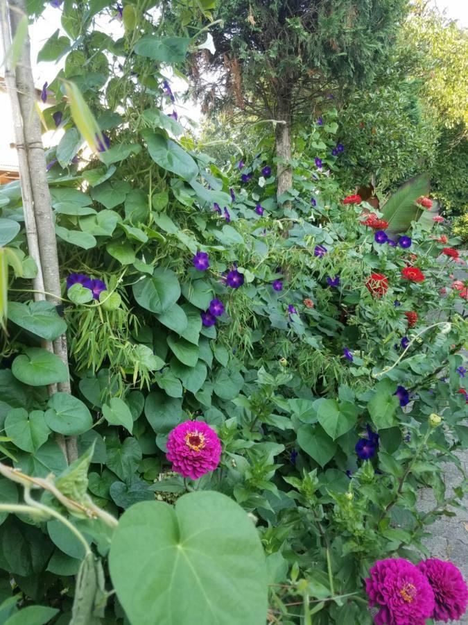 Webergarten Апартаменты